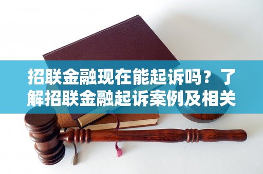 招联金融现在能起诉吗？了解招联金融起诉案例及相关法律解读