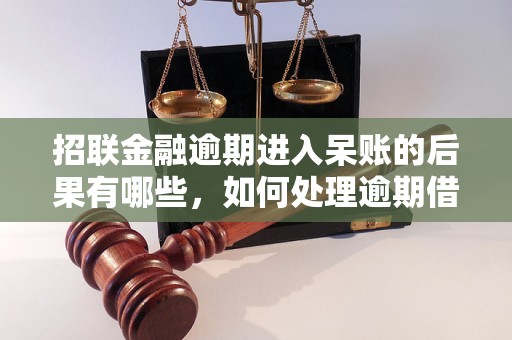 招联金融逾期进入呆账的后果有哪些，如何处理逾期借款问题