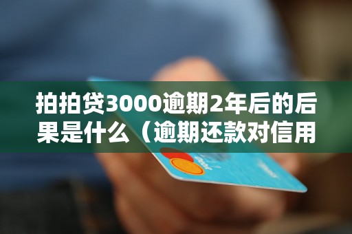 拍拍贷3000逾期2年后的后果是什么（逾期还款对信用记录的影响）