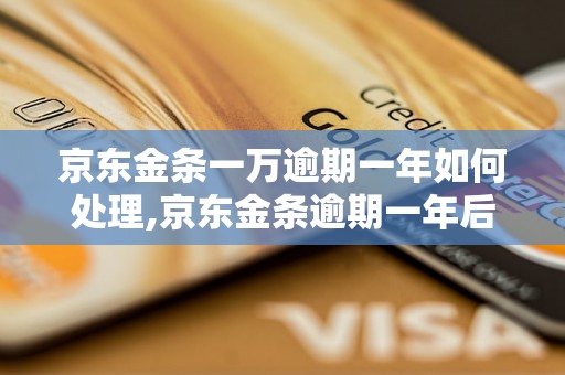 京东金条一万逾期一年如何处理,京东金条逾期一年后的相关处置方法