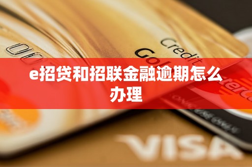 e招贷和招联金融逾期怎么办理