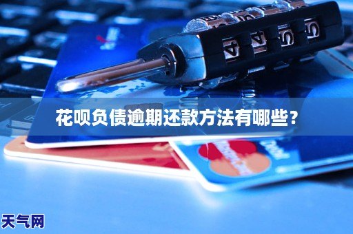花呗负债逾期还款 有哪些？GA黄金甲(图1)