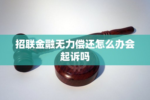 招联金融无力偿还怎么办会起诉吗