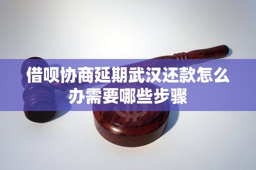 借呗协商延期武汉还款怎么办需要哪些步骤