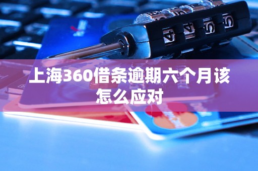 上海360借条逾期六个月该怎么应对