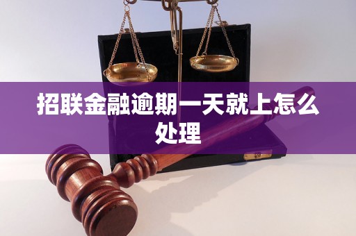 招联金融逾期一天就上怎么处理