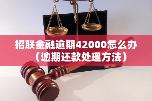 招联金融逾期42000怎么办（逾期还款处理方法）