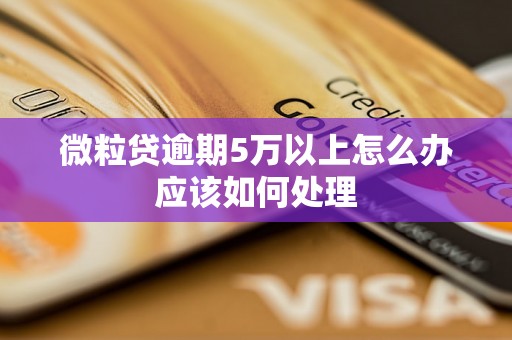 微粒贷逾期5万以上怎么办应该如何处理