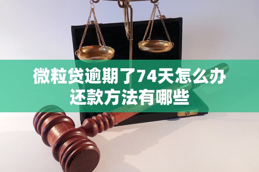 微粒贷逾期了74天怎么办还款方法有哪些