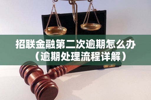 招联金融第二次逾期怎么办（逾期处理流程详解）