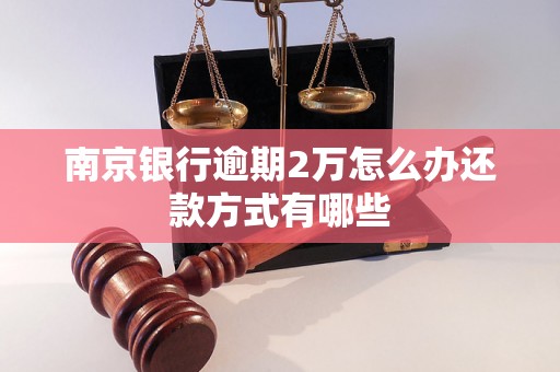 南京银行逾期2万怎么办还款方式有哪些