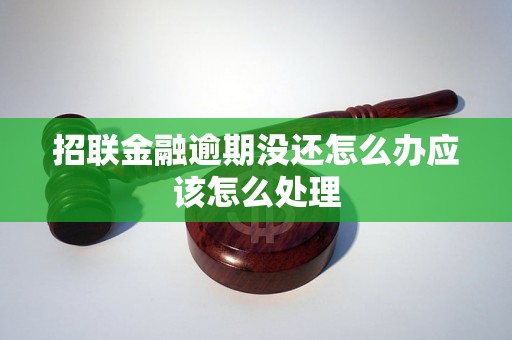 招联金融逾期没还怎么办应该怎么处理