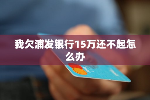 我欠浦发银行15万还不起怎么办