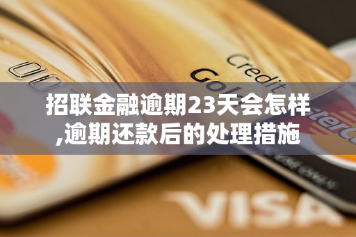 招联金融逾期23天会怎样,逾期还款后的处理措施