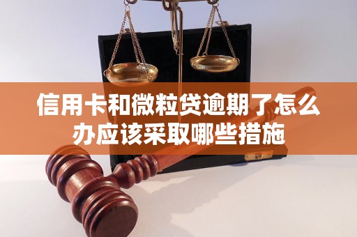 信用卡和微粒贷逾期了怎么办应该采取哪些措施