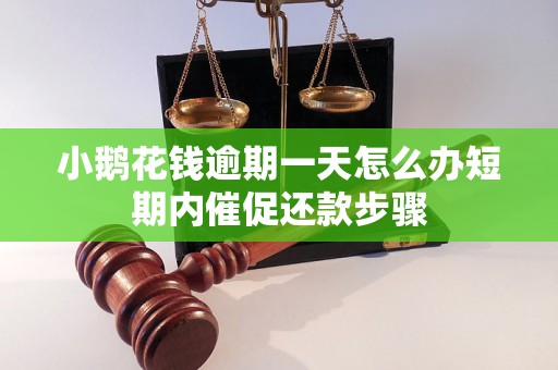 小鹅花钱逾期一天怎么办短期内催促还款步骤