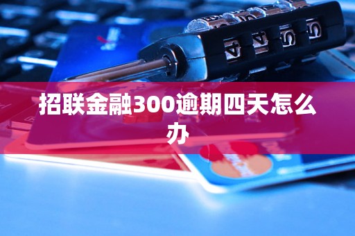 招联金融300逾期四天怎么办