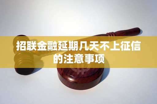 招联金融延期几天不上征信的注意事项