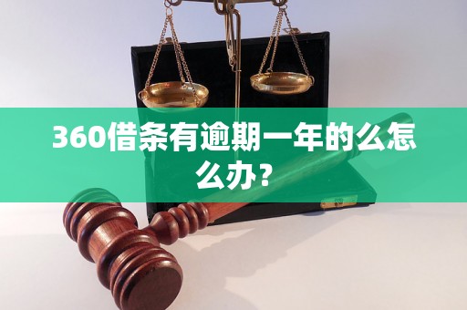 360借条有逾期一年的么怎么办？