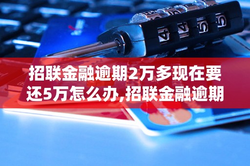 招联金融逾期2万多现在要还5万怎么办,招联金融逾期还款需要注意什么