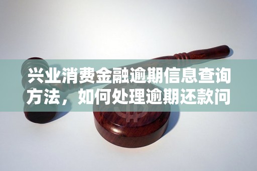 兴业消费金融逾期信息查询方法，如何处理逾期还款问题