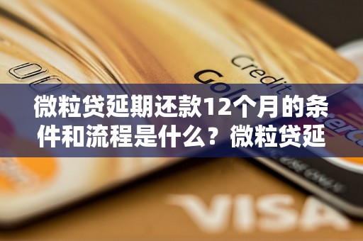 微粒贷延期还款12个月的条件和流程是什么？微粒贷延期还款需要提供哪些材料？