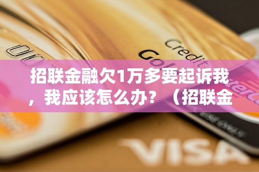 招联金融欠1万多要起诉我，我应该怎么办？（招联金融起诉应对策略）