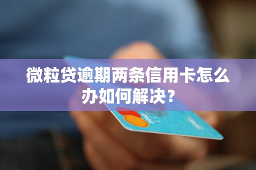 微粒贷逾期两条信用卡怎么办如何解决？