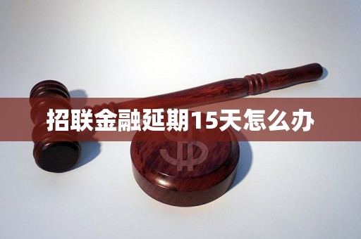 招联金融延期15天怎么办