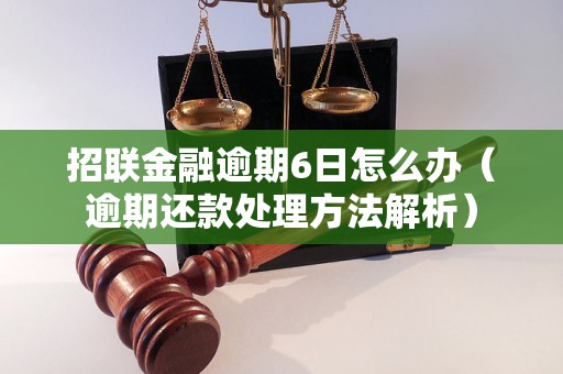 招联金融逾期6日怎么办（逾期还款处理方法解析）