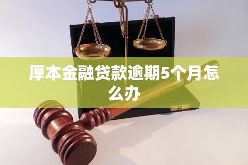 厚本金融贷款逾期5个月怎么办