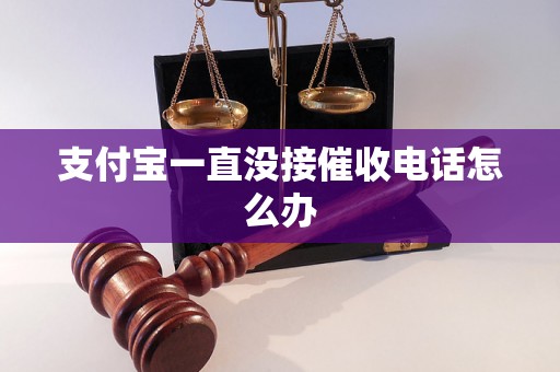 支付宝一直没接催收电话怎么办