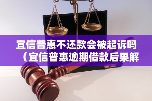 宜信普惠不还款会被起诉吗（宜信普惠逾期借款后果解析）