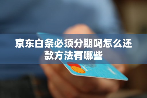 京东白条必须分期吗怎么还款方法有哪些