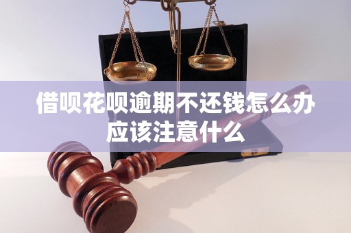 借呗花呗逾期不还钱怎么办应该注意什么