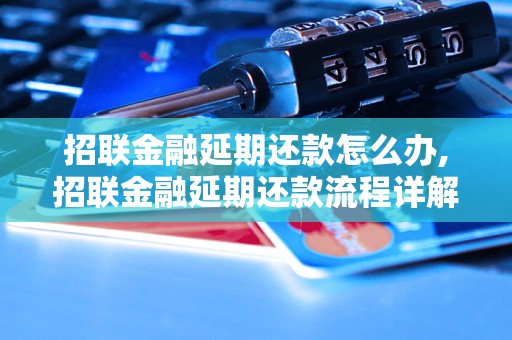 招联金融延期还款怎么办,招联金融延期还款流程详解