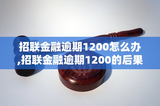 招联金融逾期1200怎么办,招联金融逾期1200的后果是什么