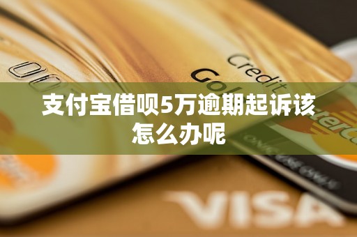 支付宝借呗5万逾期起诉该怎么办呢