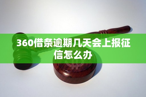 360借条逾期几天会上报征信怎么办