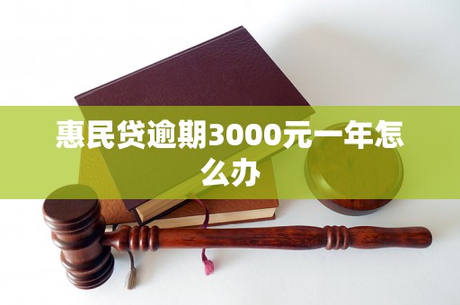 惠民贷逾期3000元一年怎么办