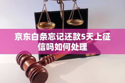 京东白条忘记还款5天上征信吗如何处理