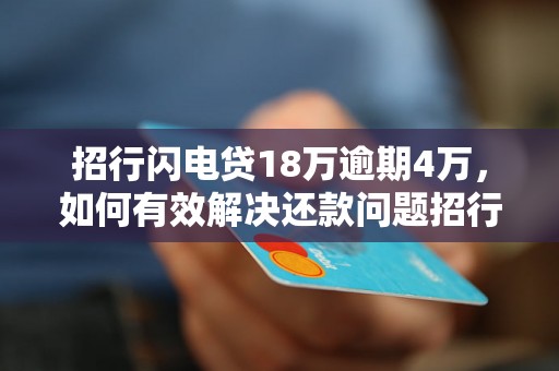 招行闪电贷18万逾期4万，如何有效解决还款问题招行闪电贷18万逾期4万，如何妥善处理逾期还款情况