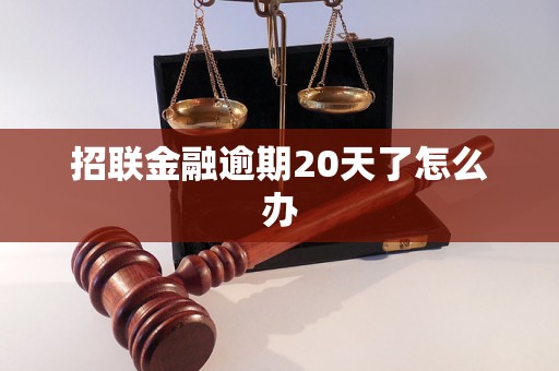 招联金融逾期20天了怎么办