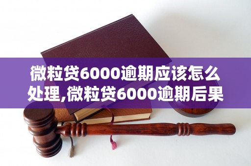 微粒贷6000逾期应该怎么处理,微粒贷6000逾期后果及解决办法