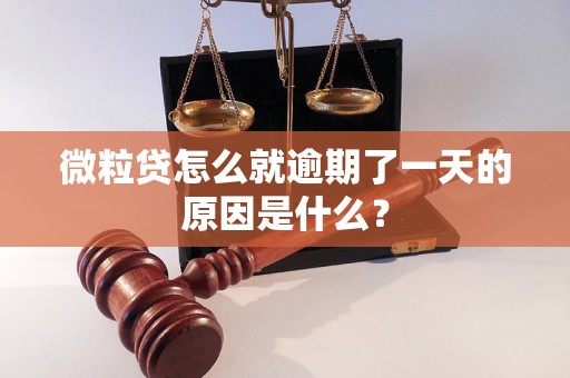 微粒贷怎么就逾期了一天的原因是什么？