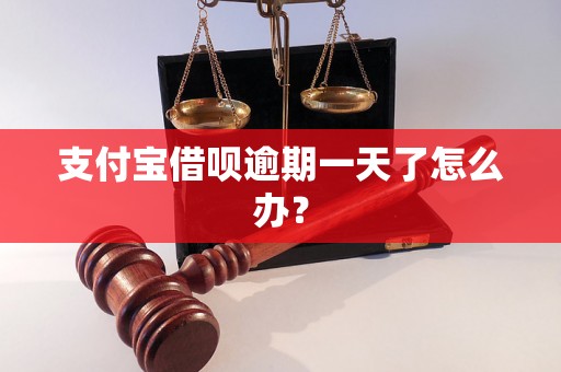 支付宝借呗逾期一天了怎么办？