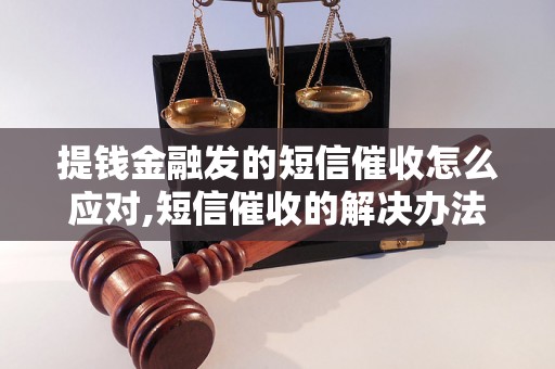 提钱金融发的短信催收怎么应对,短信催收的解决办法