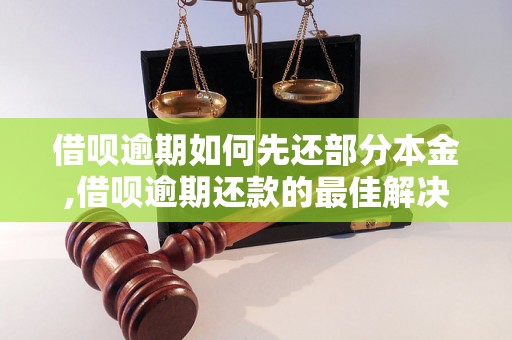 借呗逾期如何先还部分本金,借呗逾期还款的最佳解决方案