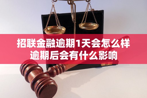 招联金融逾期1天会怎么样逾期后会有什么影响