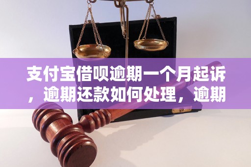 支付宝借呗逾期一个月起诉，逾期还款如何处理，逾期还款后影响大吗